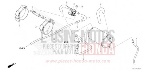 CUVETTE XL750P de 2023